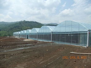 选择睿农温室大棚设备 广西大棚配件厂家的专业优势与价格指南