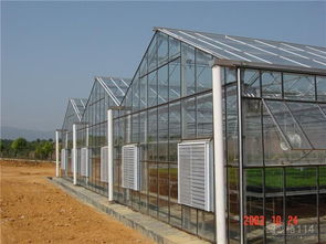 农业温室 现代农业的高效种植解决方案