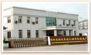 农业温室与现代化农业用具的发展——以饶阳县胜寒养殖大棚用品制造厂为例