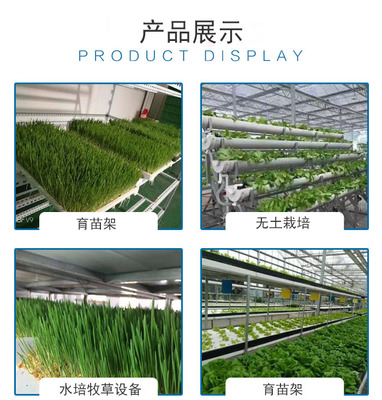 青泓农业 畜牧牧草种植设备与大棚材料及配套设施设计的创新实践