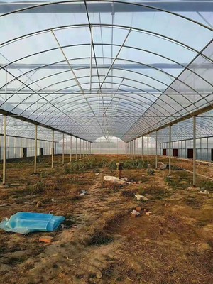 威海地区搭建一亩塑料薄膜温室大棚的成本分析与预算指南