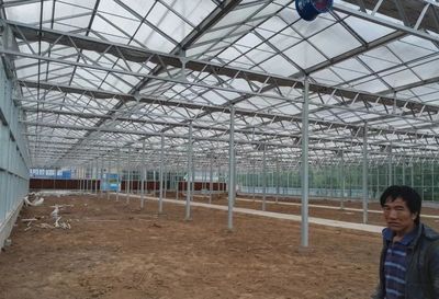 详解温室大棚 材料选择与配套设施设计指南