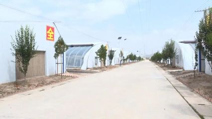 科技赋能，高效发展 本市现代农业温室建设稳步推进