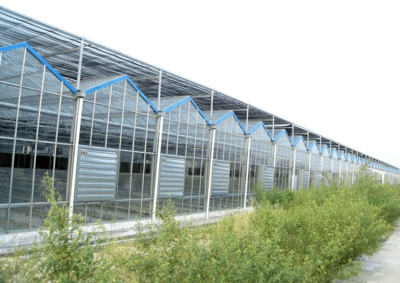 连栋玻璃温室为何备受青睐 探析其材料选择与配套设施设计的优势