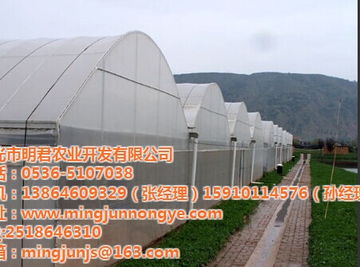 银川市明君农业连栋温室 材料与配套设施设计的优化与创新