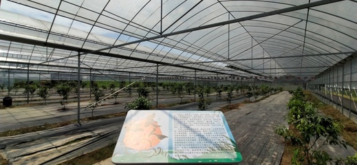 南昌农业四大特色产业三年腾飞 大棚材料与配套设施设计的创新引擎