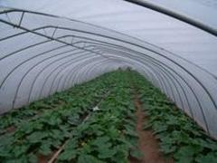 承德连栋玻璃温室 卓越品质与现代农业的完美融合