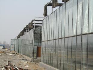 青州双福农业 智能温室大棚建设的专业之选