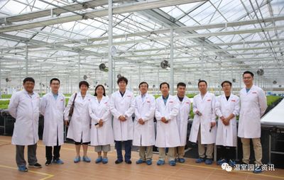 探秘京东植物工厂 产销一体化，大棚材料与配套设施破解农产品销售难题