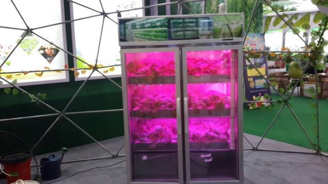 丽水农科院快繁中心 创新农业技术与现代设施设计的深度融合