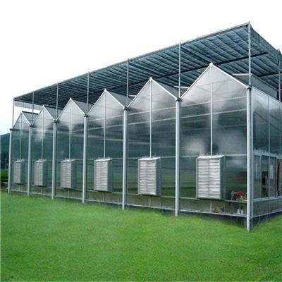 农业大棚阳光板温室 材料选择与配套设施高效设计指南
